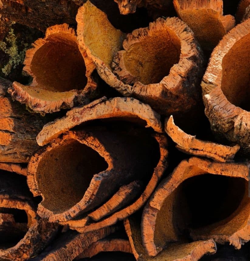cork 1.JPG