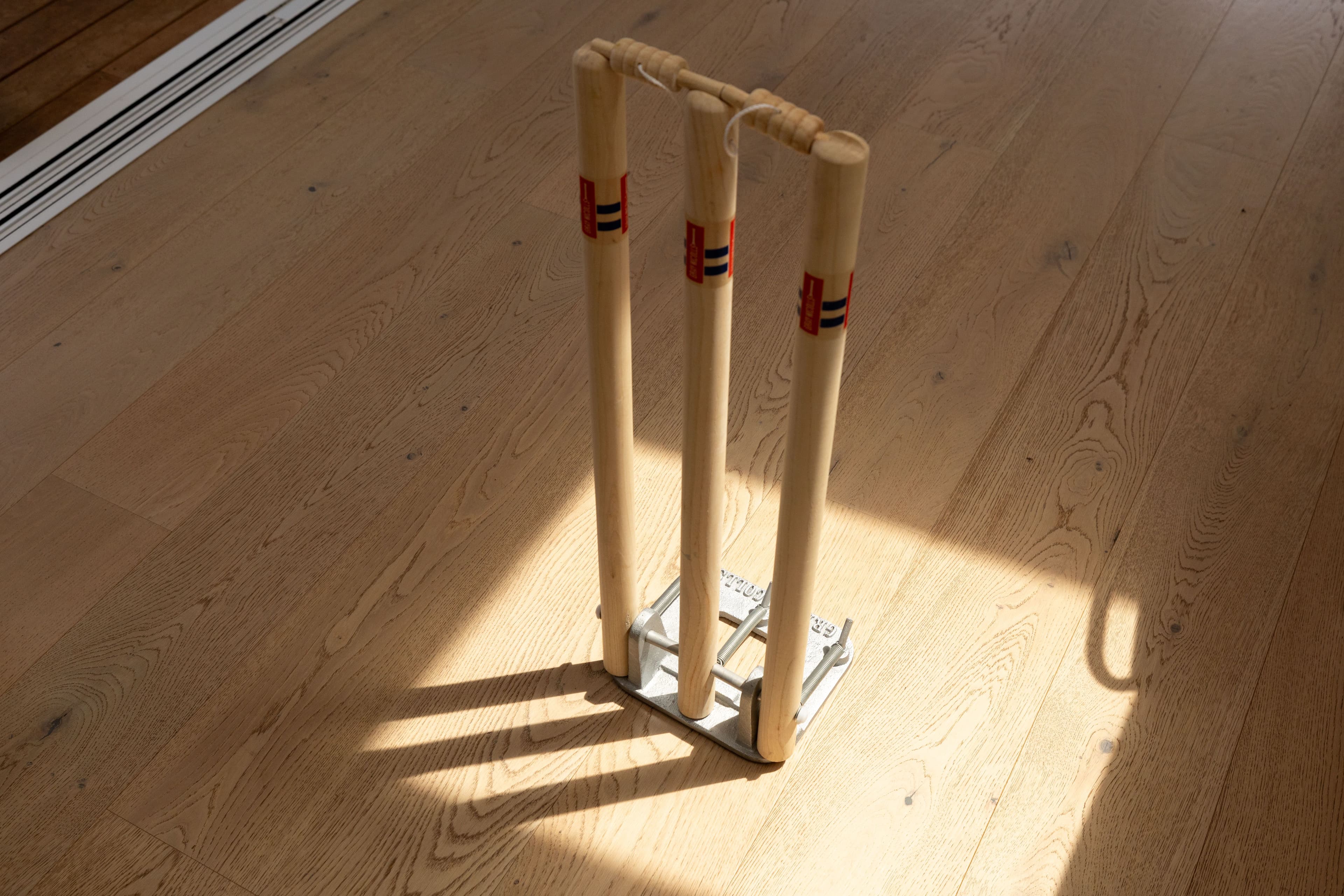 cricket.jpg